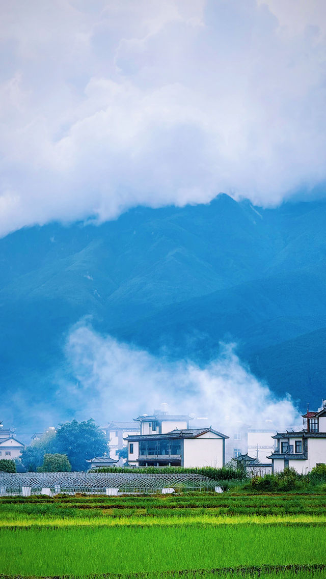 簡直靚到似漫畫入面嘅春天