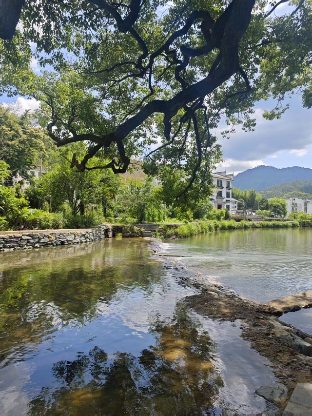 婺源旅行攻略出發前必睇～