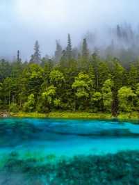 避暑納涼or寄情山水？解鎖最驚艷嘅夏天