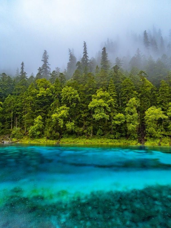 避暑納涼or寄情山水？解鎖最驚艷嘅夏天