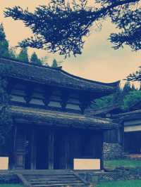 浙江省景寧・時思寺　千年の歴史と自然が織りなす神秘的な旅​