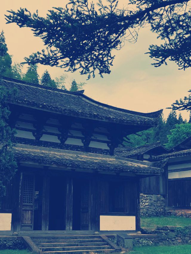 浙江省景寧・時思寺　千年の歴史と自然が織りなす神秘的な旅​