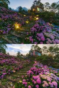 大理青寂溪谷伴山｜喺蒼山森林入面，俾日出吻醒嘅野奢假期