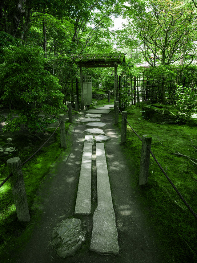 京都 | 有一種綠叫做「京都綠」