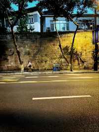 重慶 |  中山四路 |  最美街道