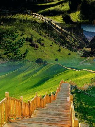 Must-Visit Highland Wetland: Introduction and Guide to Zoige