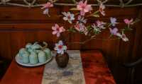 三隻貓嘅森林溫泉記