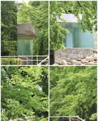 昆明植物園東園|闖入現實版綠野仙蹤！治癒系秘境大公開