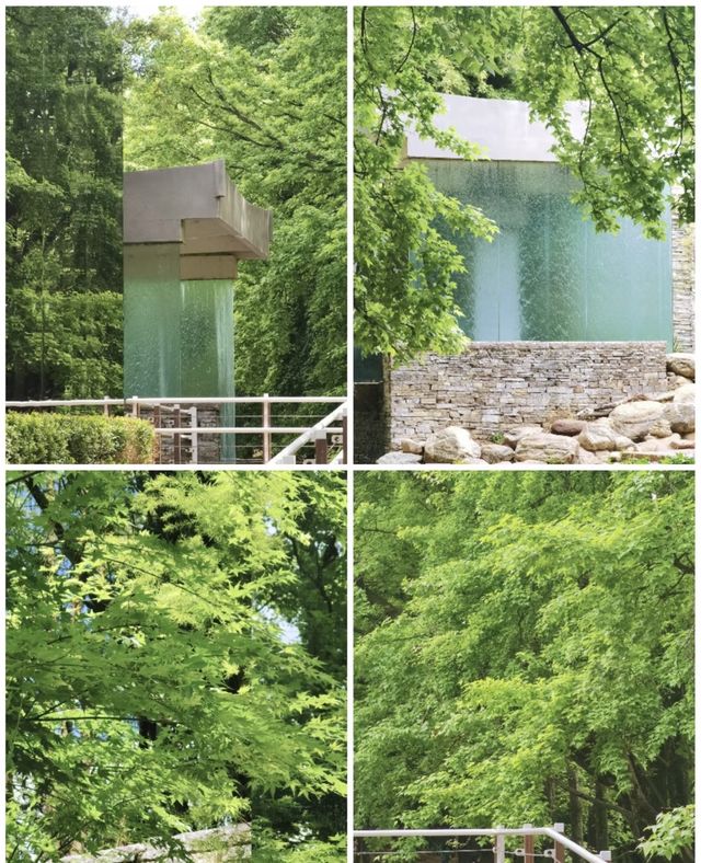 昆明植物園東園|闖入現實版綠野仙蹤！治癒系秘境大公開