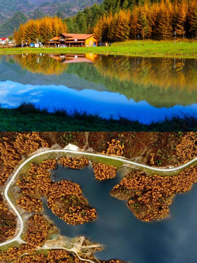 紅池壩住邊度唔會中伏？親測！星空帳篷、雲端木屋…靚到窒息！