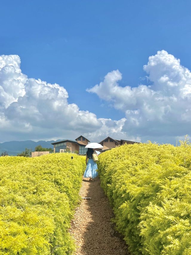 至今為止，我在雲南最鍾意嘅沙灘出現咗。。。。