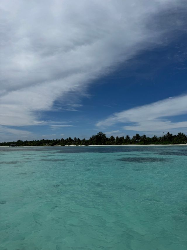 Magical Week at Lux: A Honeymoon to Remember
