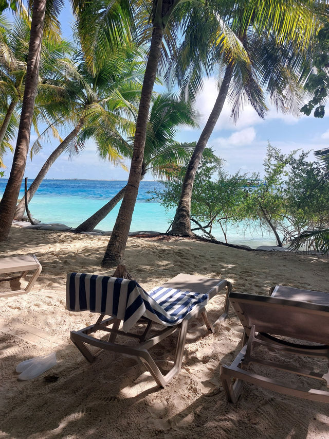 A Memorable Stay at a Resort