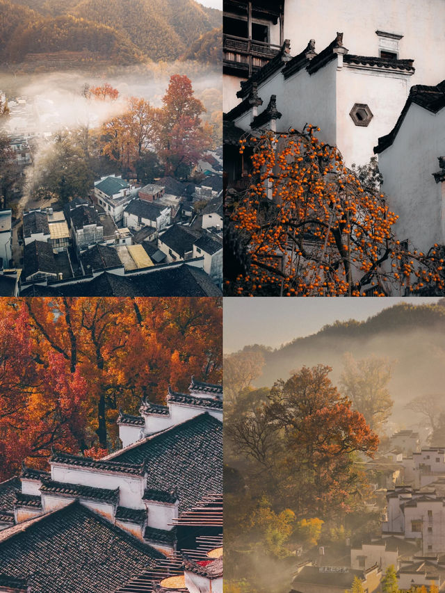 婺源石城—紅楓映黛瓦,晨霧繞古村 婺源石城—紅楓映黛瓦,晨霧繞古村