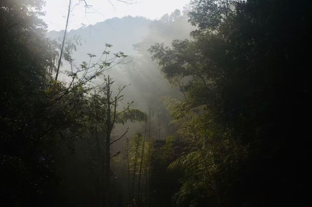 小河彎彎，秋日草坪上的慢時光