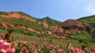 [Ningxia Seven-Day Fun Travel Guide] The slow life of the "South of the Great Wall" should be enjoyed like this!
