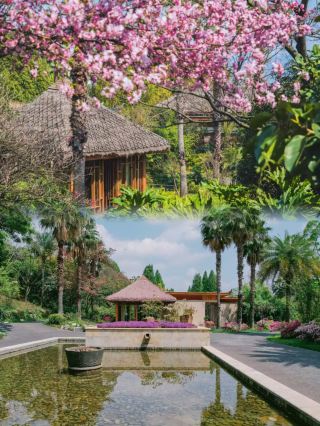 Kunming Bailian Hotel | Hidden Luxury by Dianchi Lake in the World of Tea and Zen