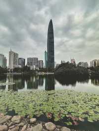 Lychee Park Shenzhen