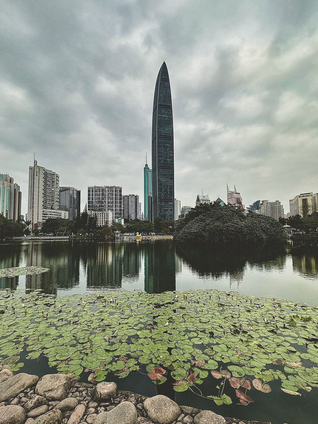 Lychee Park Shenzhen