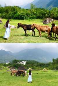 在貓兒山，解鎖「華南之巔」的N種寶藏玩法