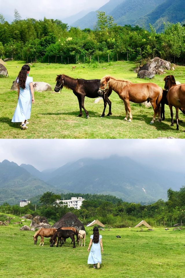 在貓兒山，解鎖「華南之巔」的N種寶藏玩法