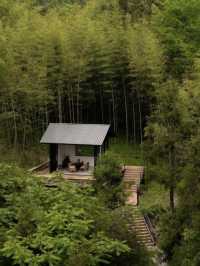 樂山秘境木屋，遭遇100%山野