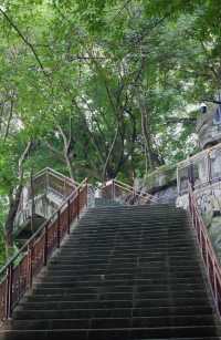 重慶半山崖線:28公里「空中走廊」,串連五園與春日粉色輕軌