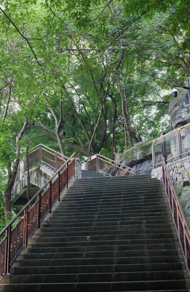 重慶半山崖線:28公里「空中走廊」,串連五園與春日粉色輕軌 重慶半山崖線:28公里「空中走廊」,串連五園與春日粉色輕軌