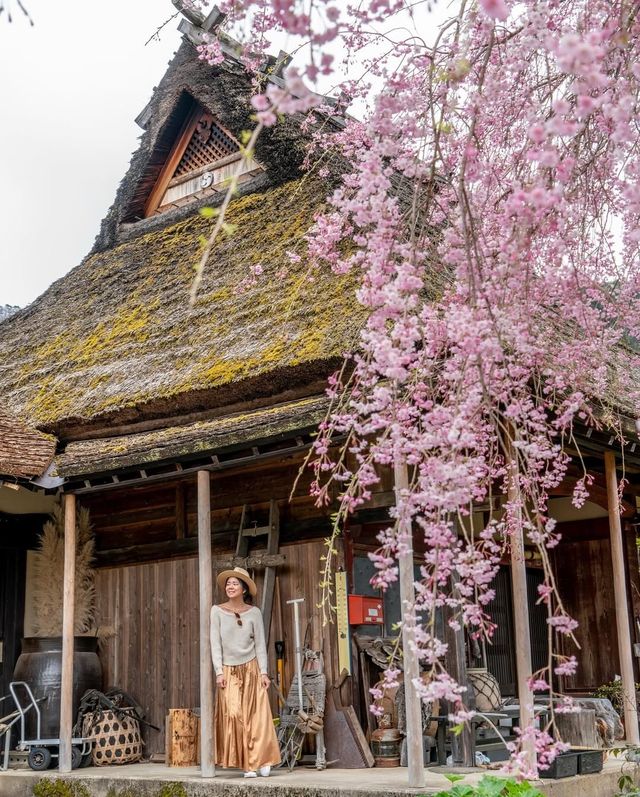 京都秘境！誤入千本茅葺之裡的世外桃源