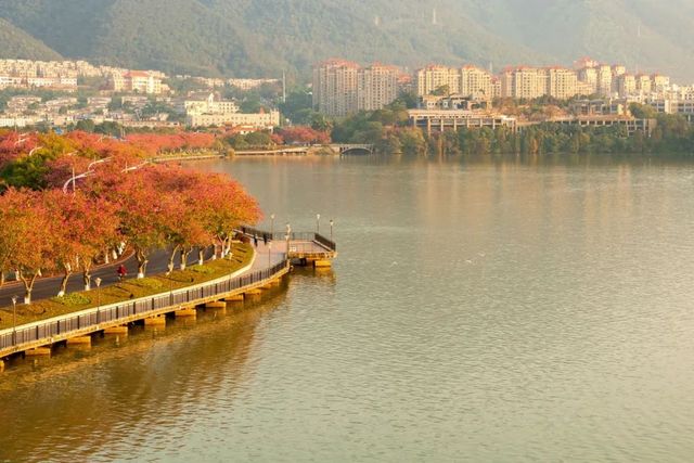 肇慶旅遊攻略大揭秘！這個寶藏城市，絕對讓你驚喜連連