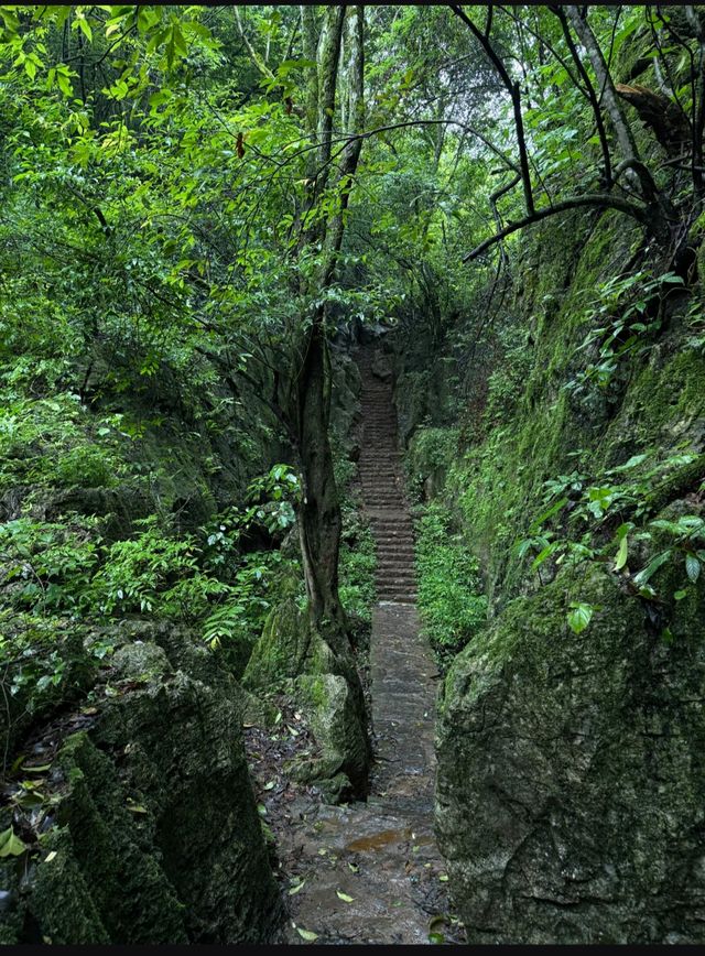 普者黑——三生三世十里桃花取景地