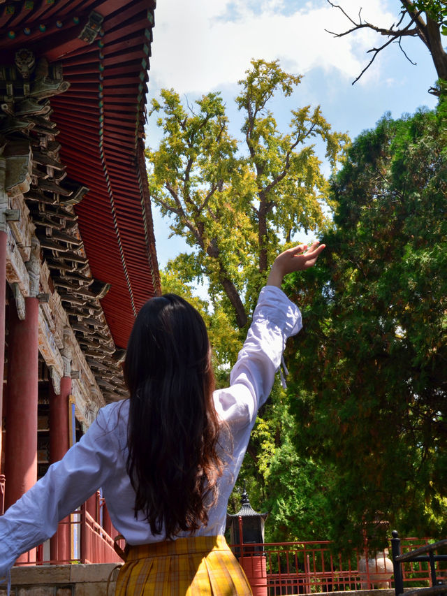泰安岱廟：千年帝王祭祀地，一磚一瓦皆史詩！