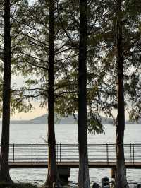秋色湖景打卡聖地 東錢湖｜100次打卡都嫌不夠的寶藏地