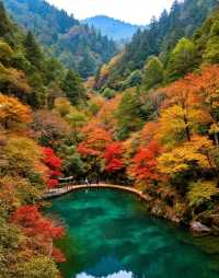 秋日賞楓絕佳秘境|10月中旬至11月中旬是賞秋黃金期