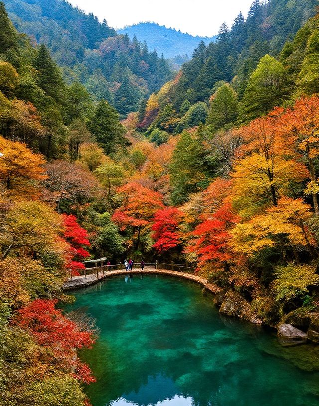 秋日賞楓絕佳秘境|10月中旬至11月中旬是賞秋黃金期