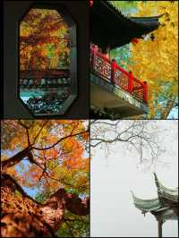 你鏡頭裡的南京秋天，還差這些地方