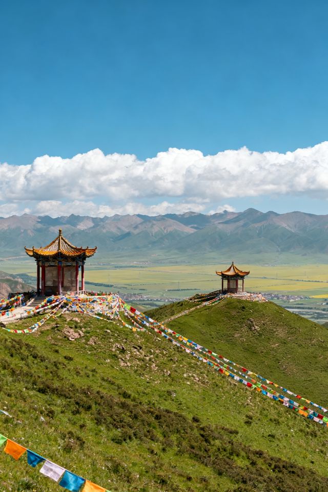 西寧深度遊｜高原古城的100種打開方式