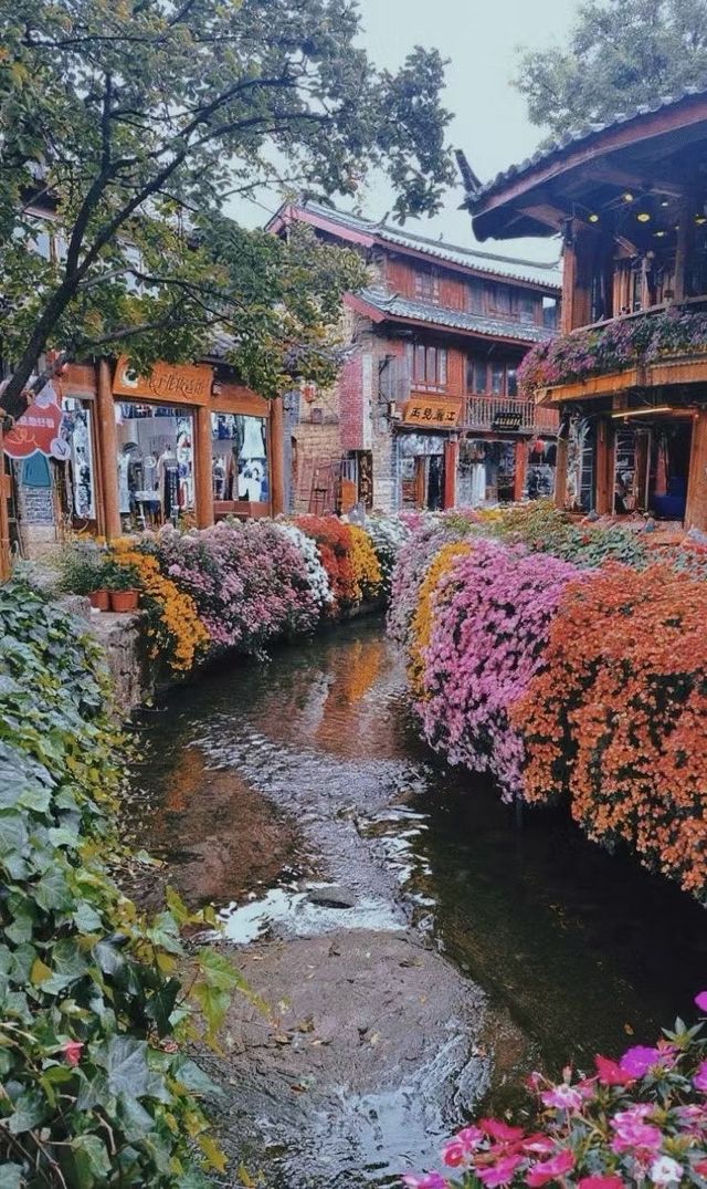 大研花巷
