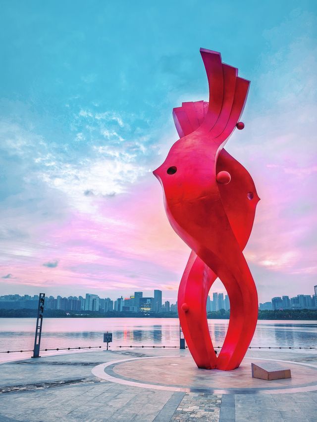 合肥天鵝湖｜暮色時分邂逅城市浪漫天際線