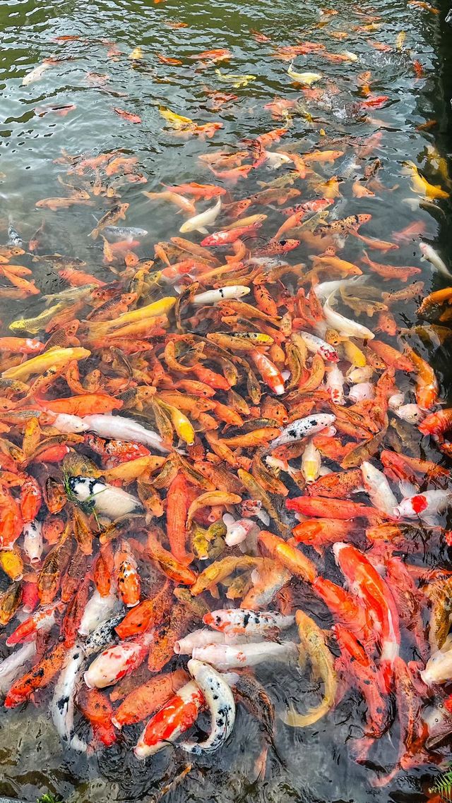 隋代古剎，禪意悠然，一場洗滌心靈的修行