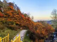山西最美的季節就要來了，附賞秋旅遊攻略
