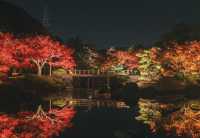 在世界遺產旁,看秋天的呼吸