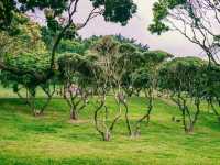 深圳中山公園｜陰雨天也能拍出超絕氛圍感！