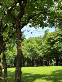杭州小朋友羨慕到哭了深圳灣騎行yyds！