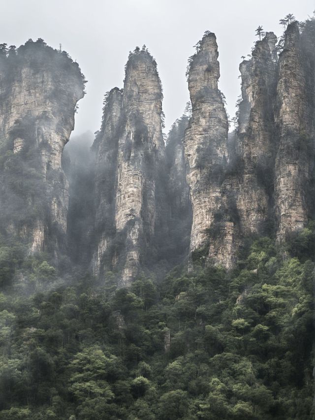張家界3日包車遊熱門景點全打卡