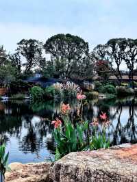 空中步廊俯瞰花草描繪的彩色大地。