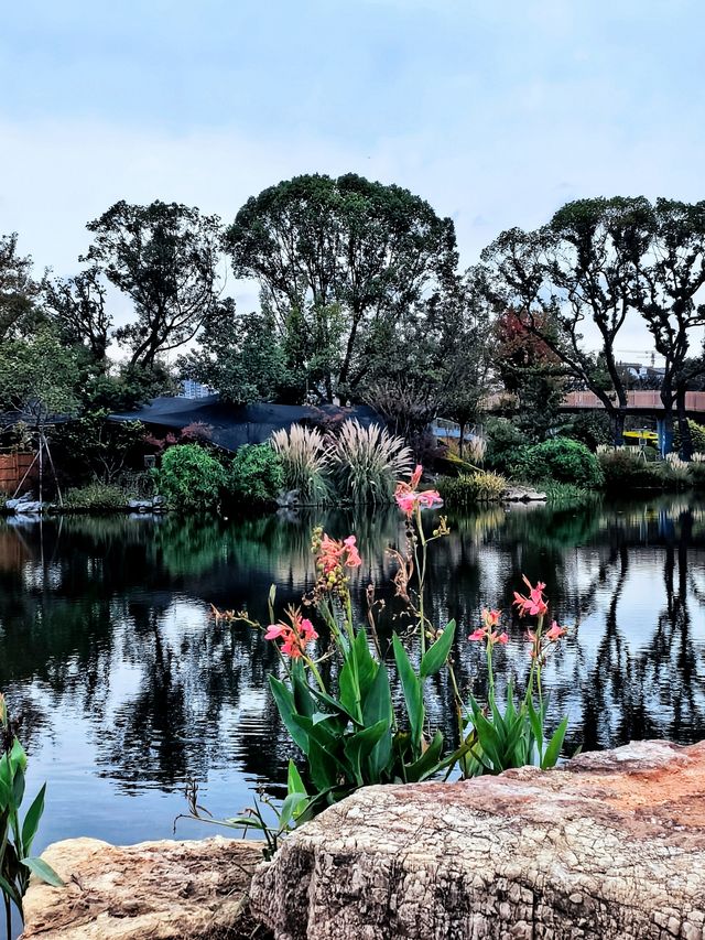 空中步廊俯瞰花草描繪的彩色大地。