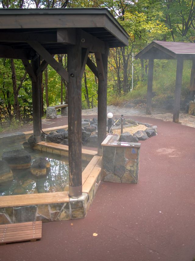 5天日本帶娃遊省心攻略來啦