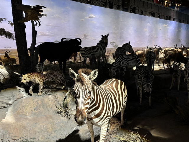 【上海自然博物館·萬物皆可見】超萌攻略來啦！