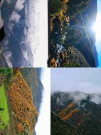 冰溝河秋色太絕了